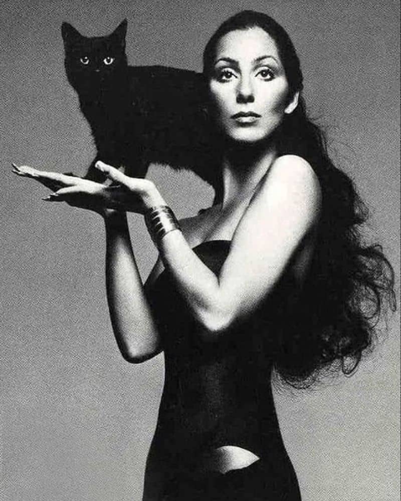 Cher