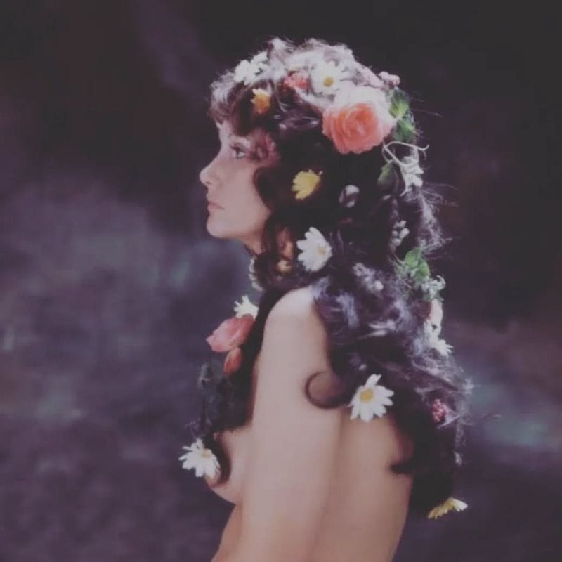 Linda Lovelace's Revelations