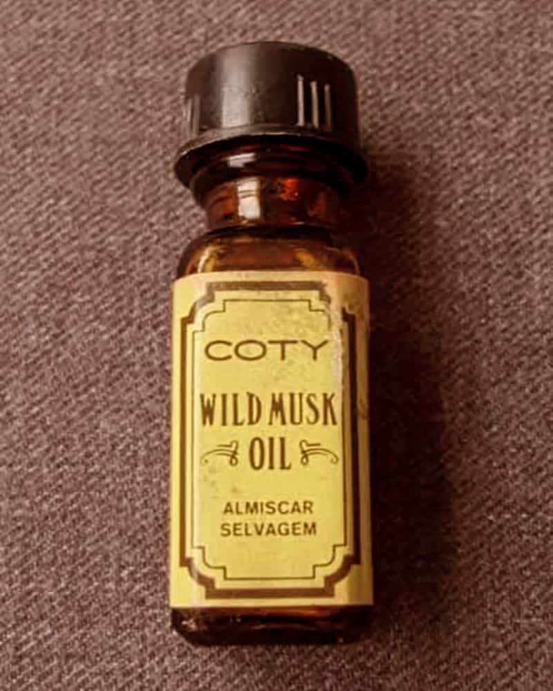 Wild Musk Oil by Coty