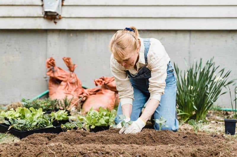 Gardening