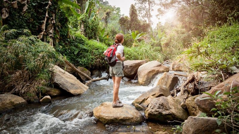 Hiking and Nature Walks